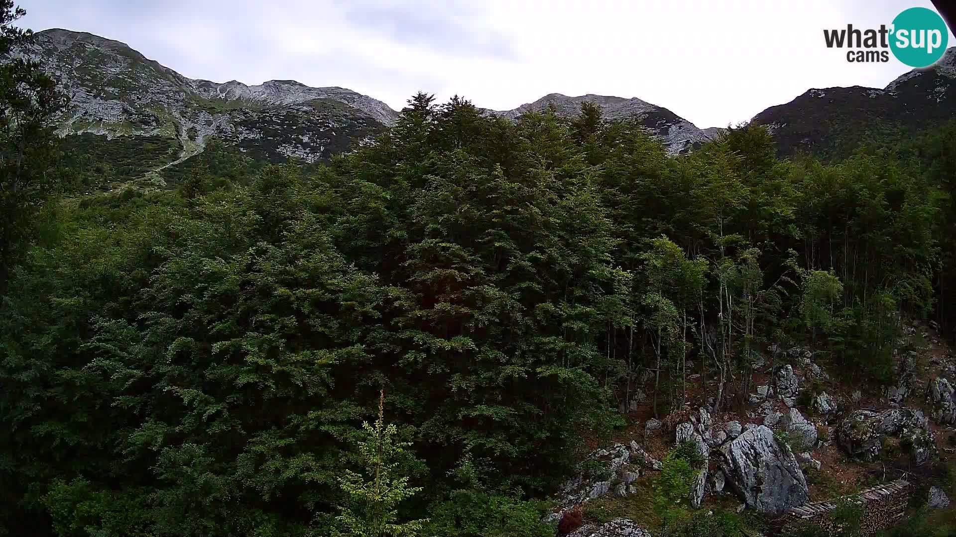 PLANINA RAZOR web kamera (1315) | pogled na Vogel i Globoko