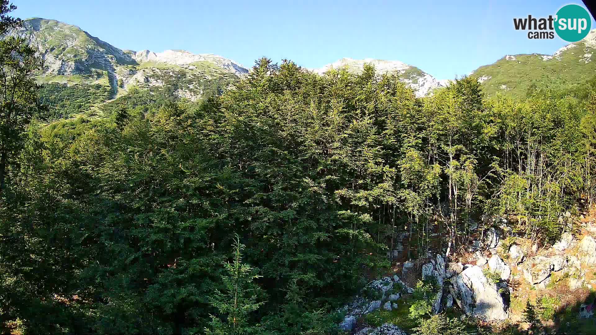PLANINA RAZOR web kamera (1315) | pogled na Vogel i Globoko