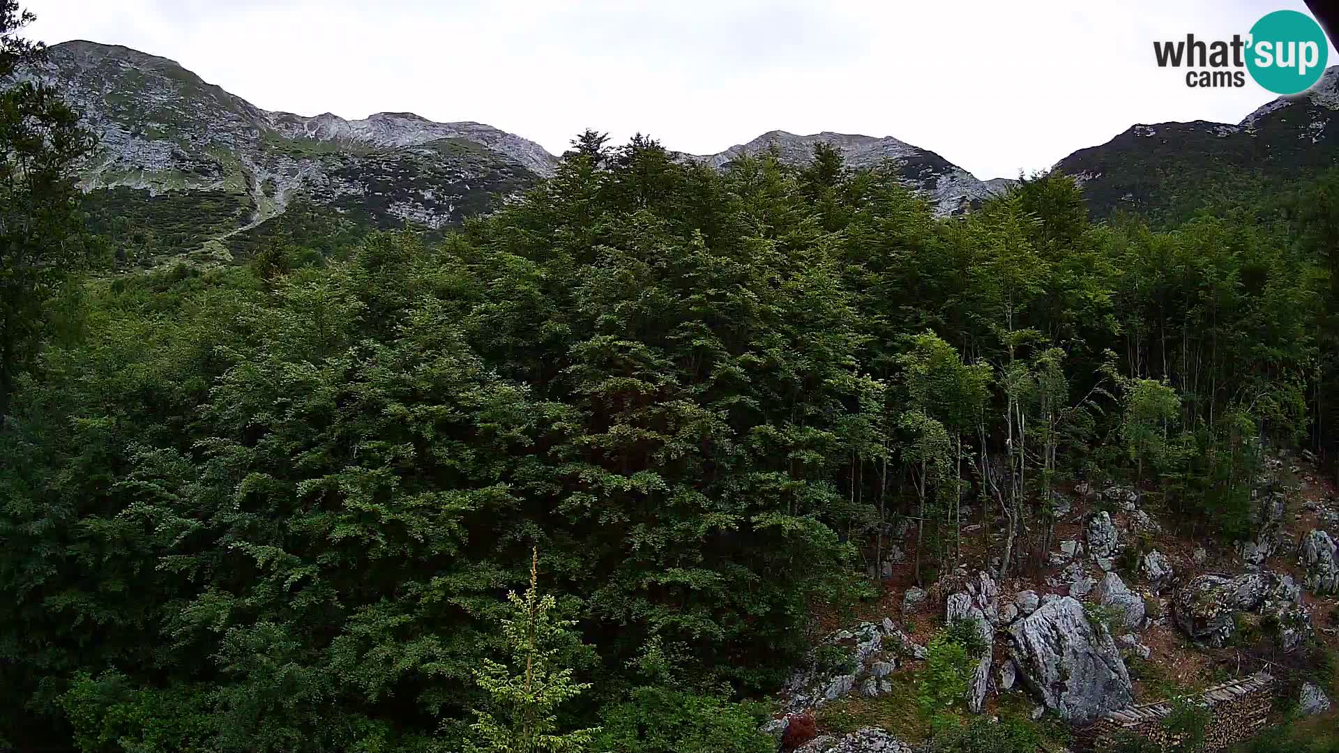 Webcam PLANINA RAZOR (1315) | Blick auf Vogel und Globoko