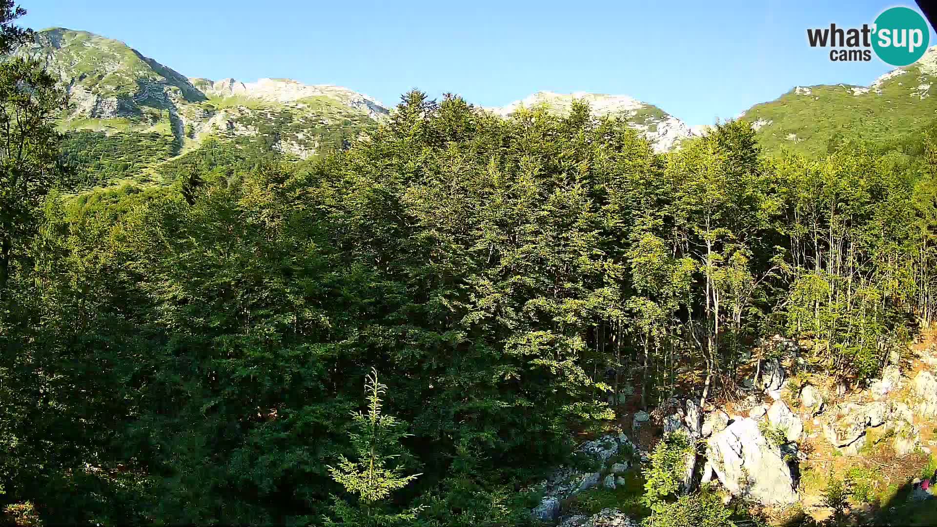 PLANINA RAZOR Live Cam (1315) | vista su Vogel e Globoko