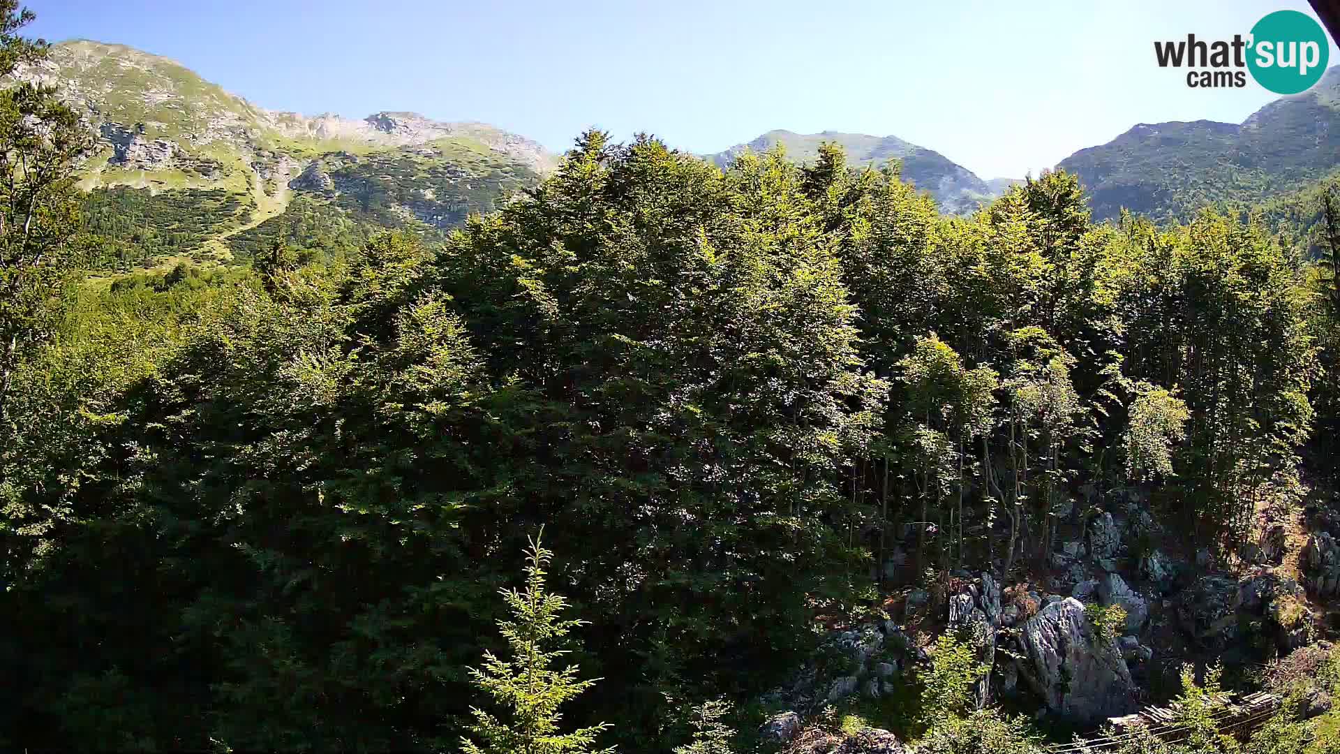 Livecam PLANINA RAZOR (1315) | vue sur Vogel et Globoko