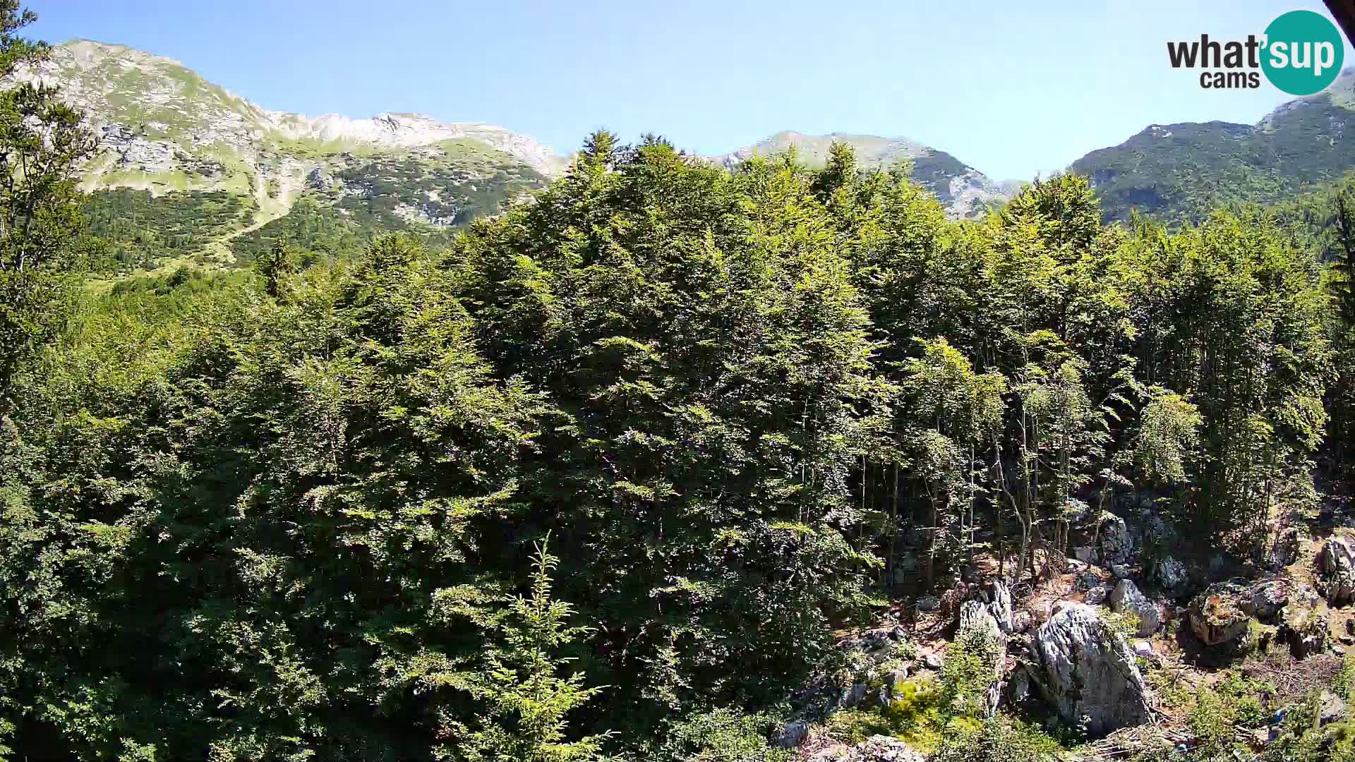 PLANINA RAZOR webcam (1315) | view to Vogel and Globoko