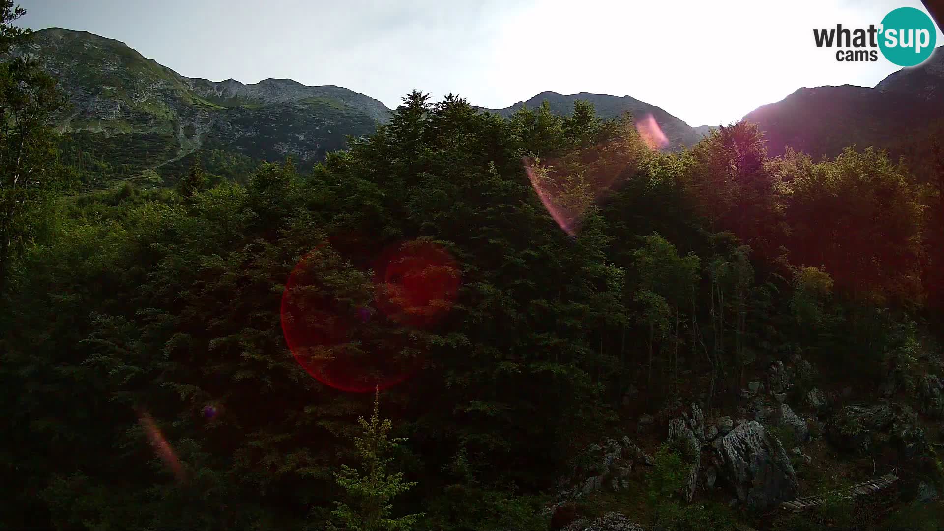 Livecam PLANINA RAZOR (1315) | vue sur Vogel et Globoko