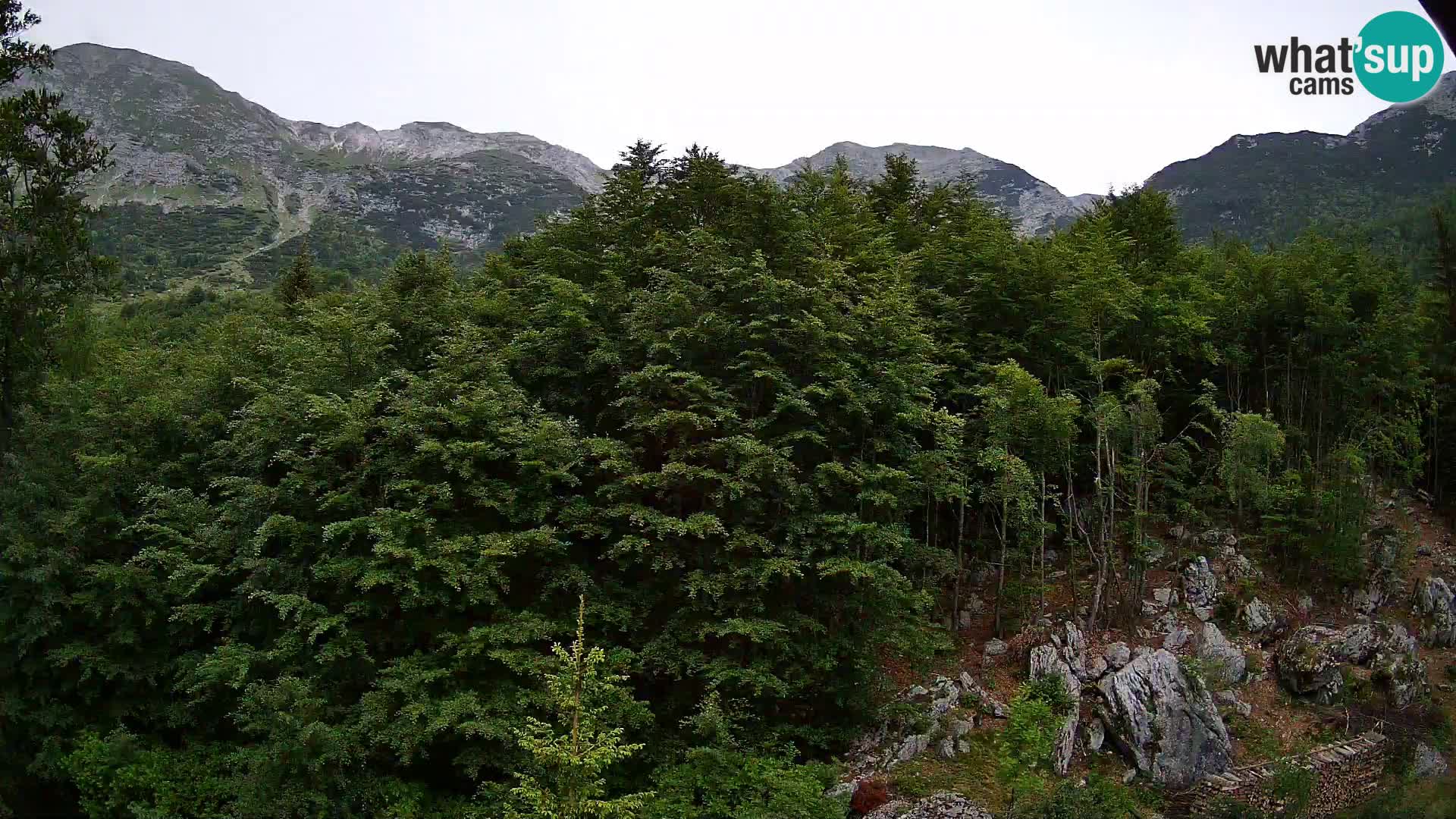Webcam PLANINA RAZOR (1315) | Blick auf Vogel und Globoko