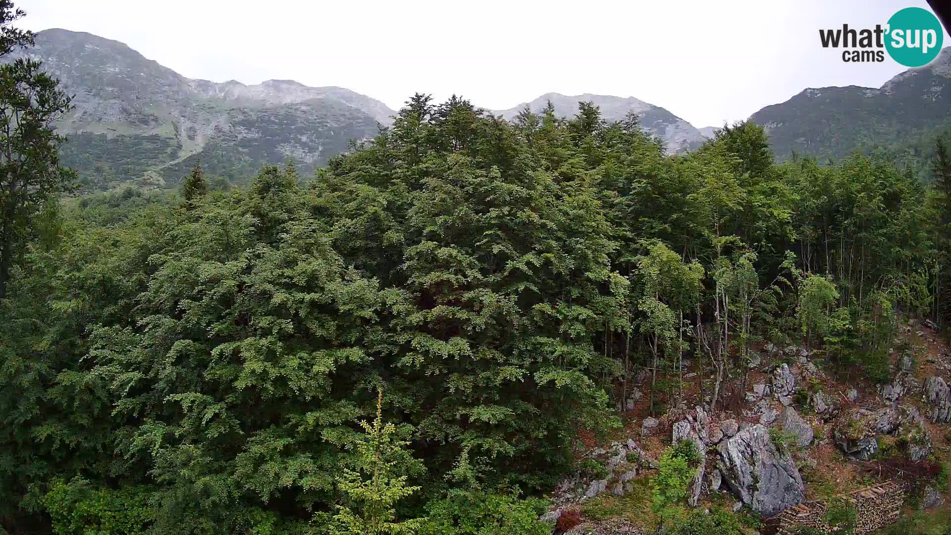 PLANINA RAZOR web kamera (1315) | pogled na Vogel i Globoko