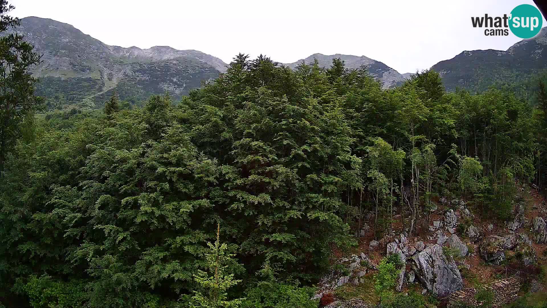 PLANINA RAZOR Live Cam (1315) | vista su Vogel e Globoko