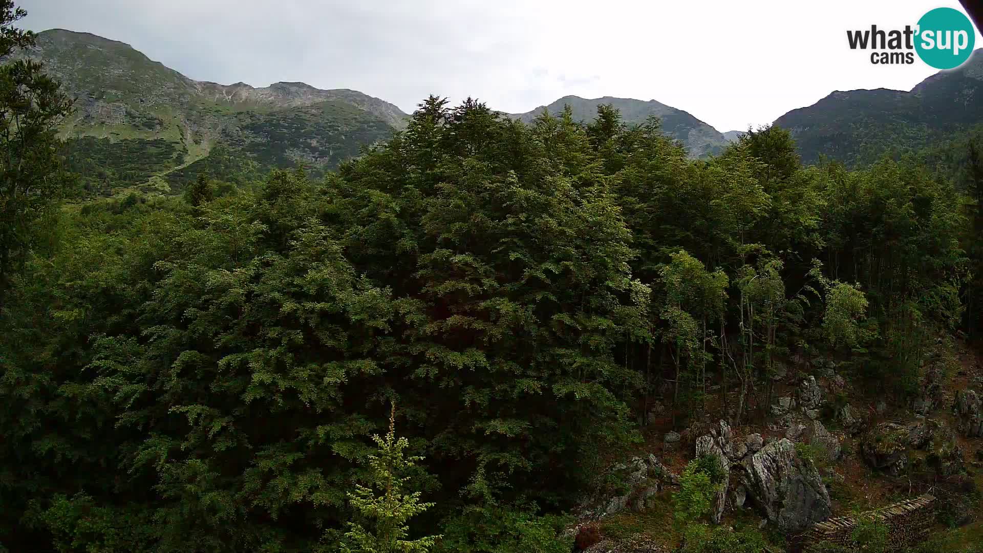 PLANINA RAZOR Live Cam (1315) | vista su Vogel e Globoko