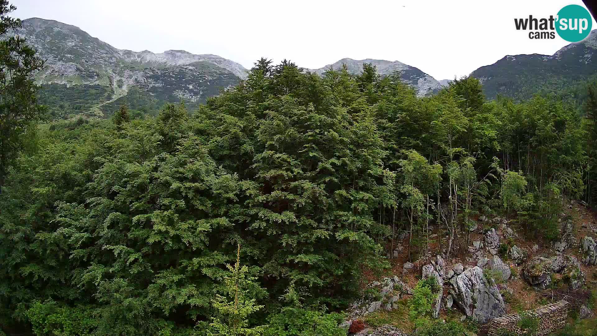 Webcam PLANINA RAZOR (1315) | Blick auf Vogel und Globoko