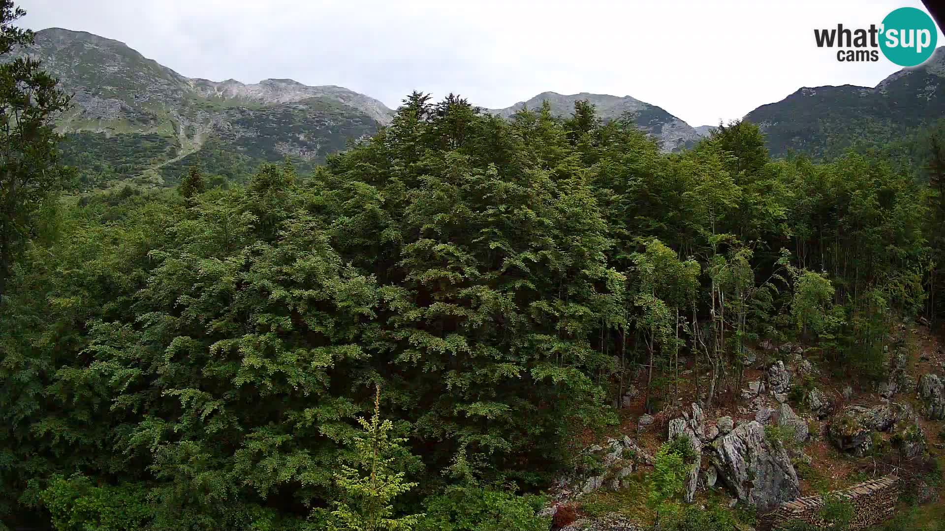 PLANINA RAZOR web kamera (1315) | pogled na Vogel i Globoko