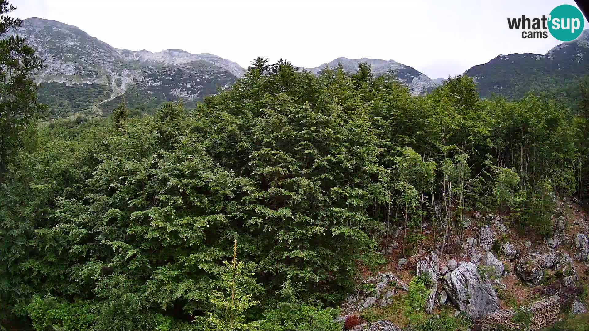 PLANINA RAZOR Live Cam (1315) | vista su Vogel e Globoko