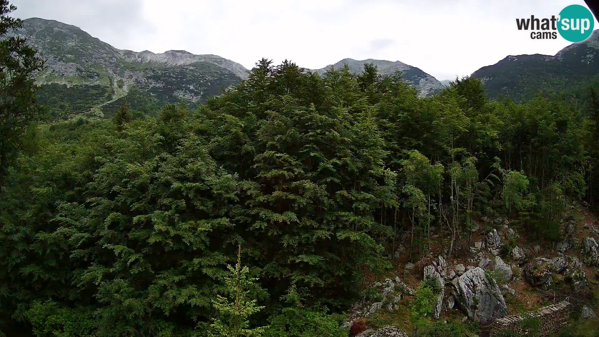 Webcam PLANINA RAZOR (1315) | Blick auf Vogel und Globoko