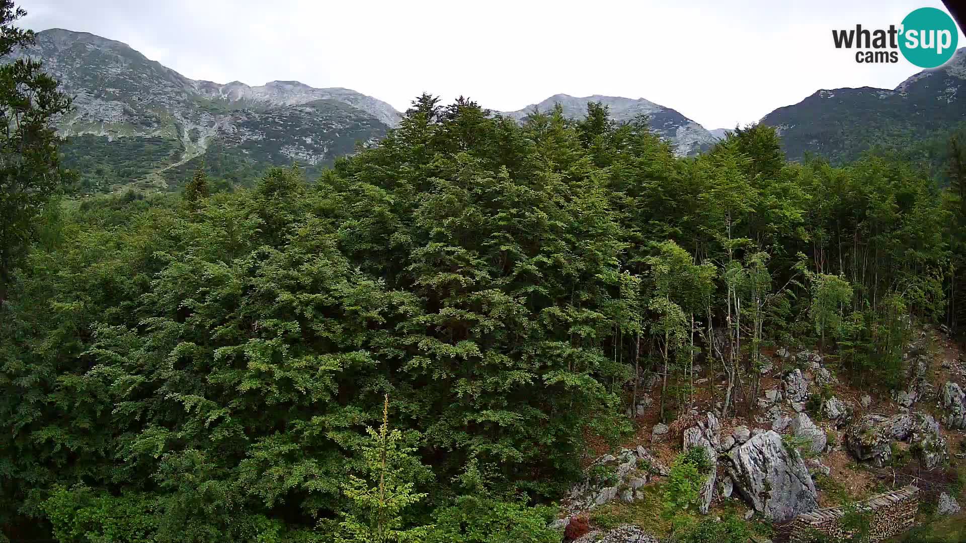 PLANINA RAZOR web kamera (1315) | pogled na Vogel i Globoko