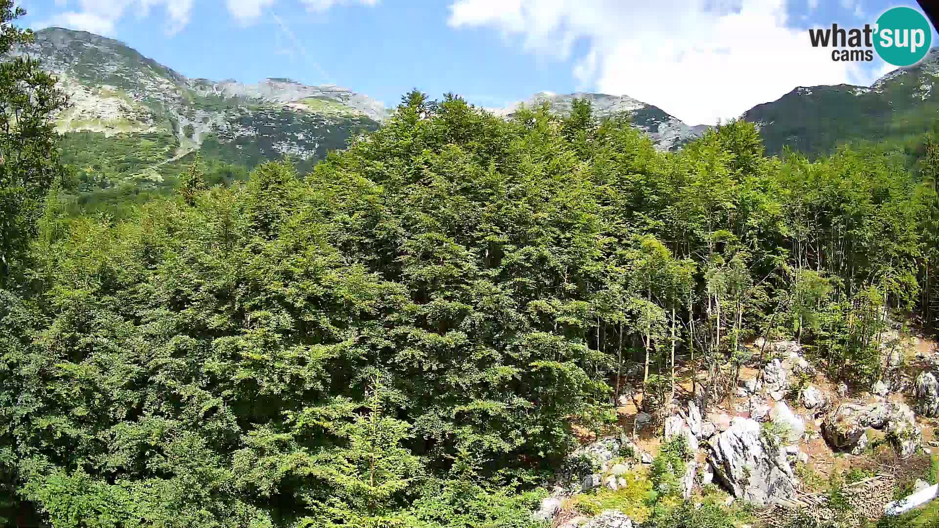 Cámara web PLANINA RAZOR (1315) | vista a Vogel y Globoko