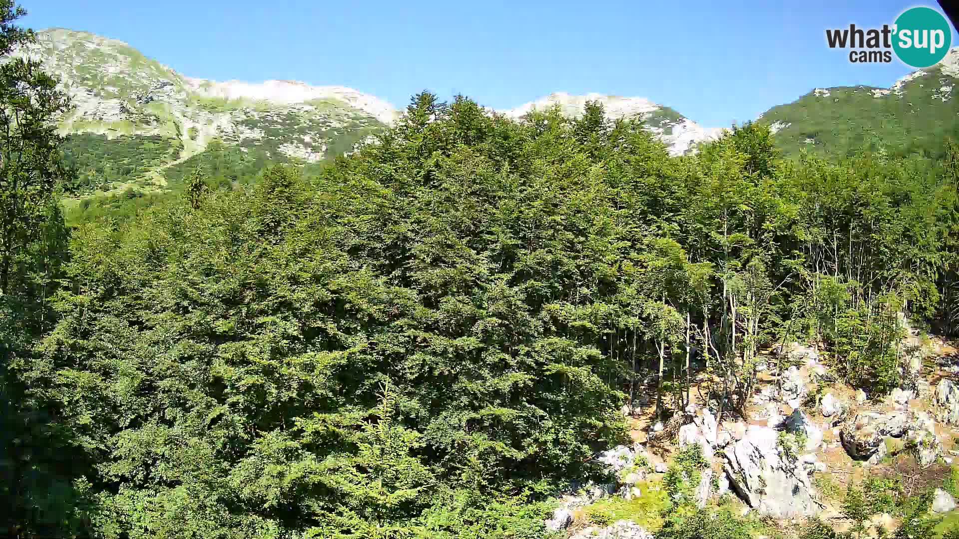 PLANINA RAZOR kamera (1315) | pogled na Vogel in Globoko