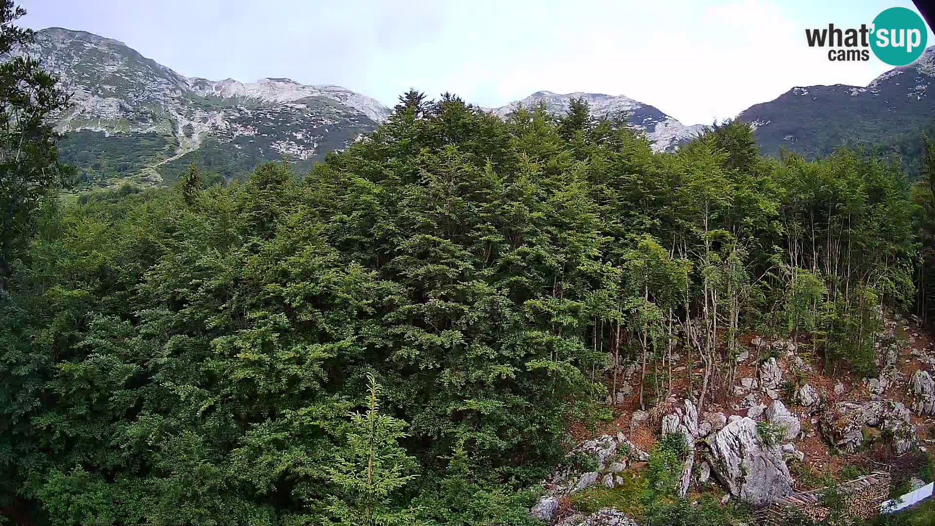 Cámara web PLANINA RAZOR (1315) | vista a Vogel y Globoko