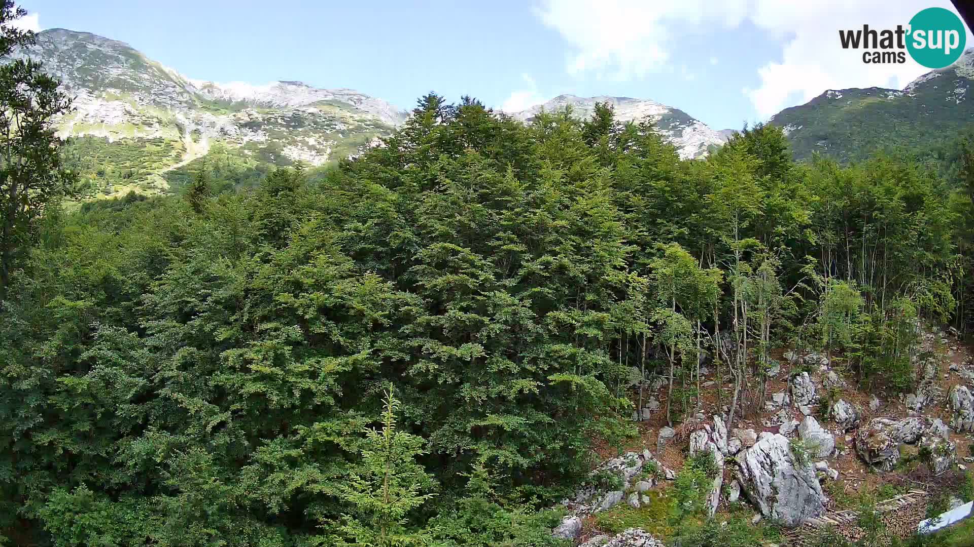PLANINA RAZOR web kamera (1315) | pogled na Vogel i Globoko