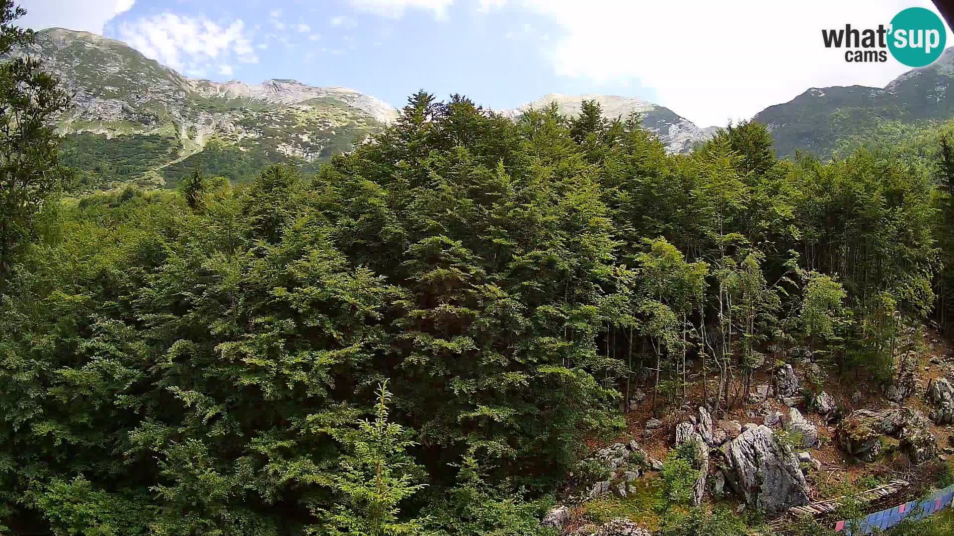 Webcam PLANINA RAZOR (1315) | Blick auf Vogel und Globoko