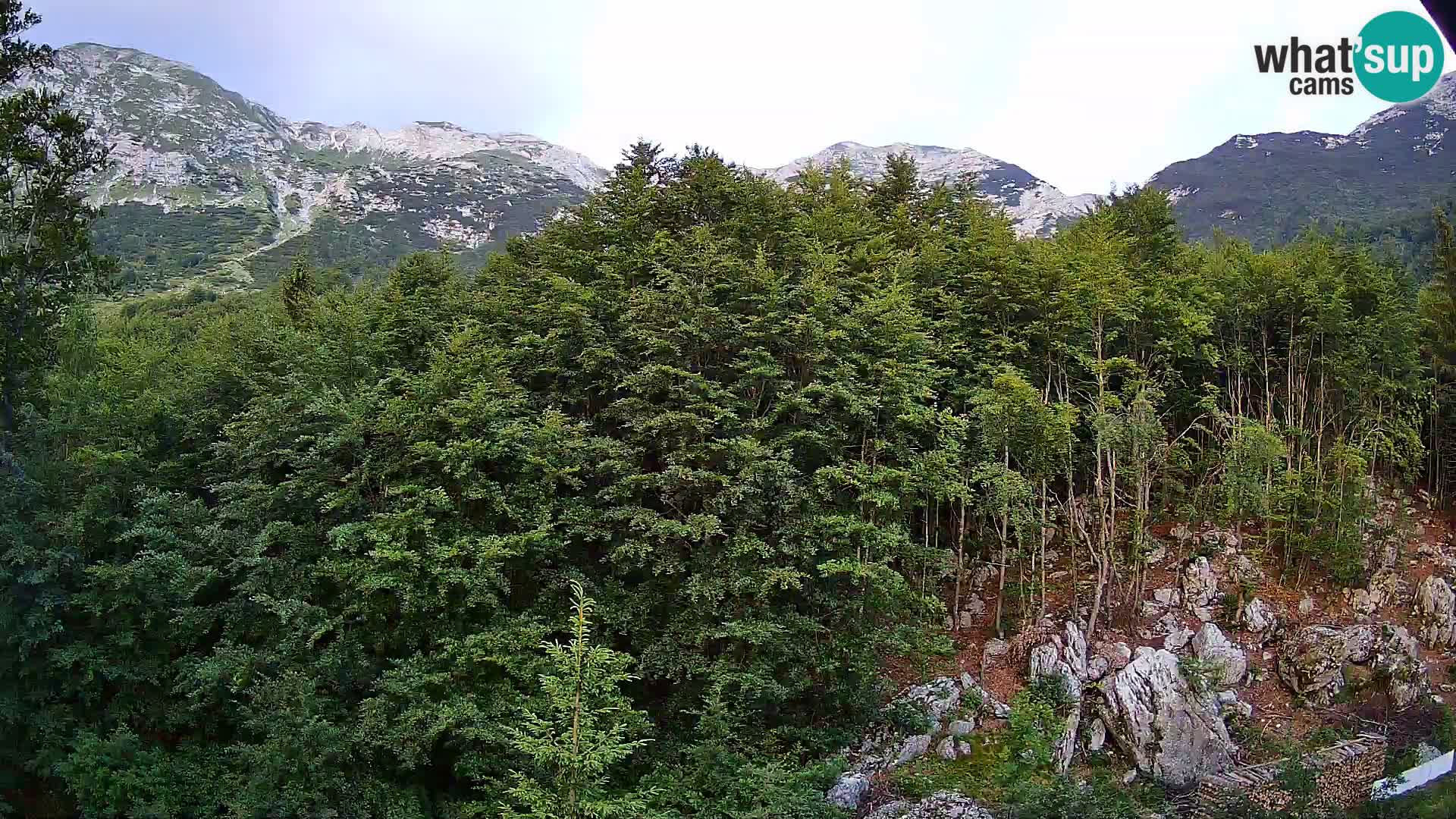 PLANINA RAZOR web kamera (1315) | pogled na Vogel i Globoko