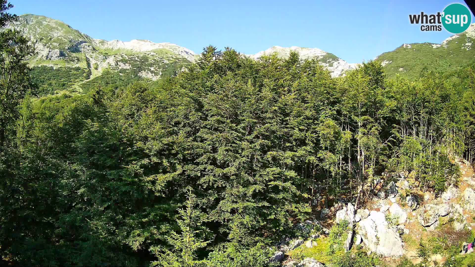 PLANINA RAZOR webcam (1315) | view to Vogel and Globoko