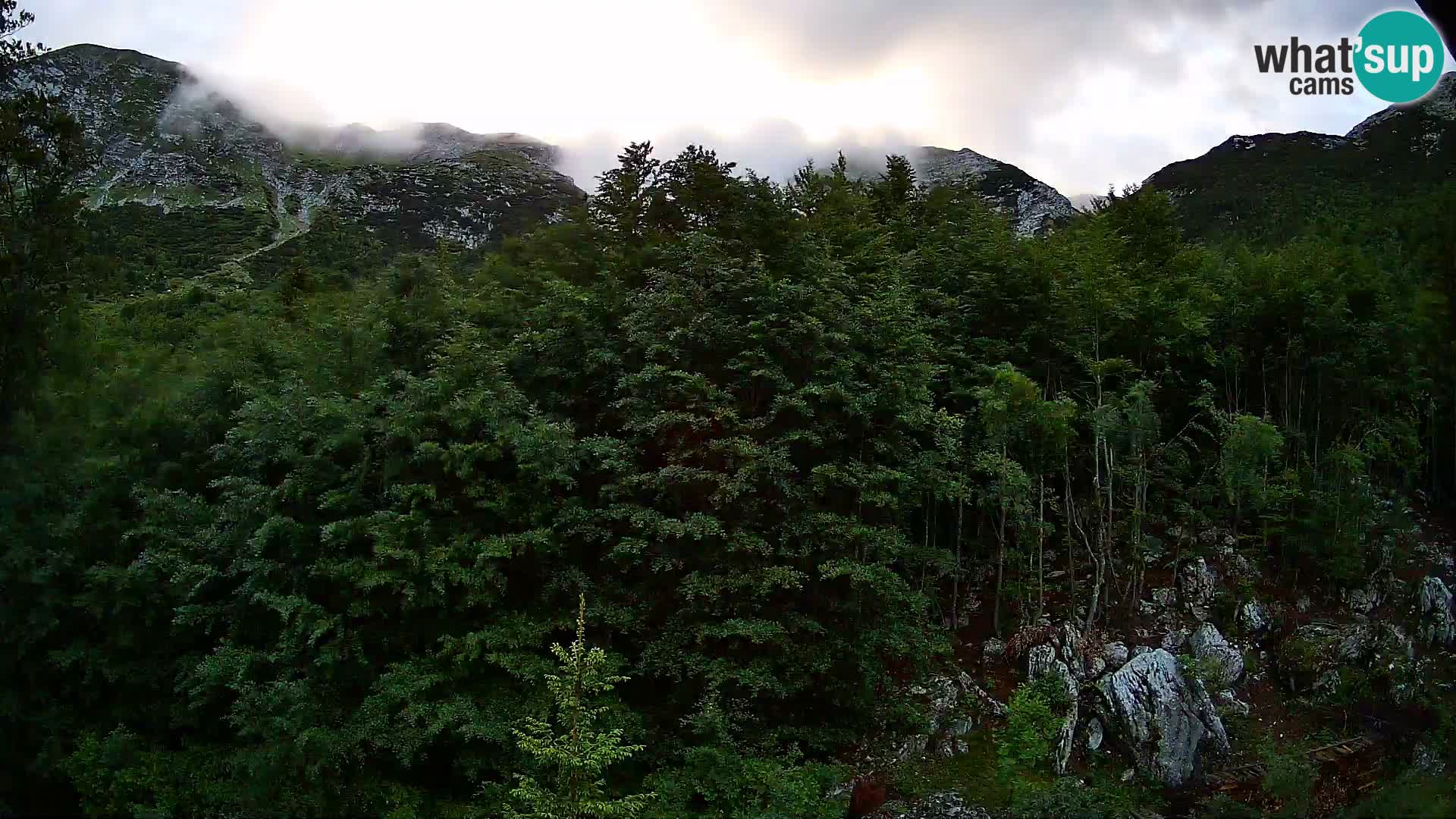 PLANINA RAZOR kamera (1315) | pogled na Vogel in Globoko