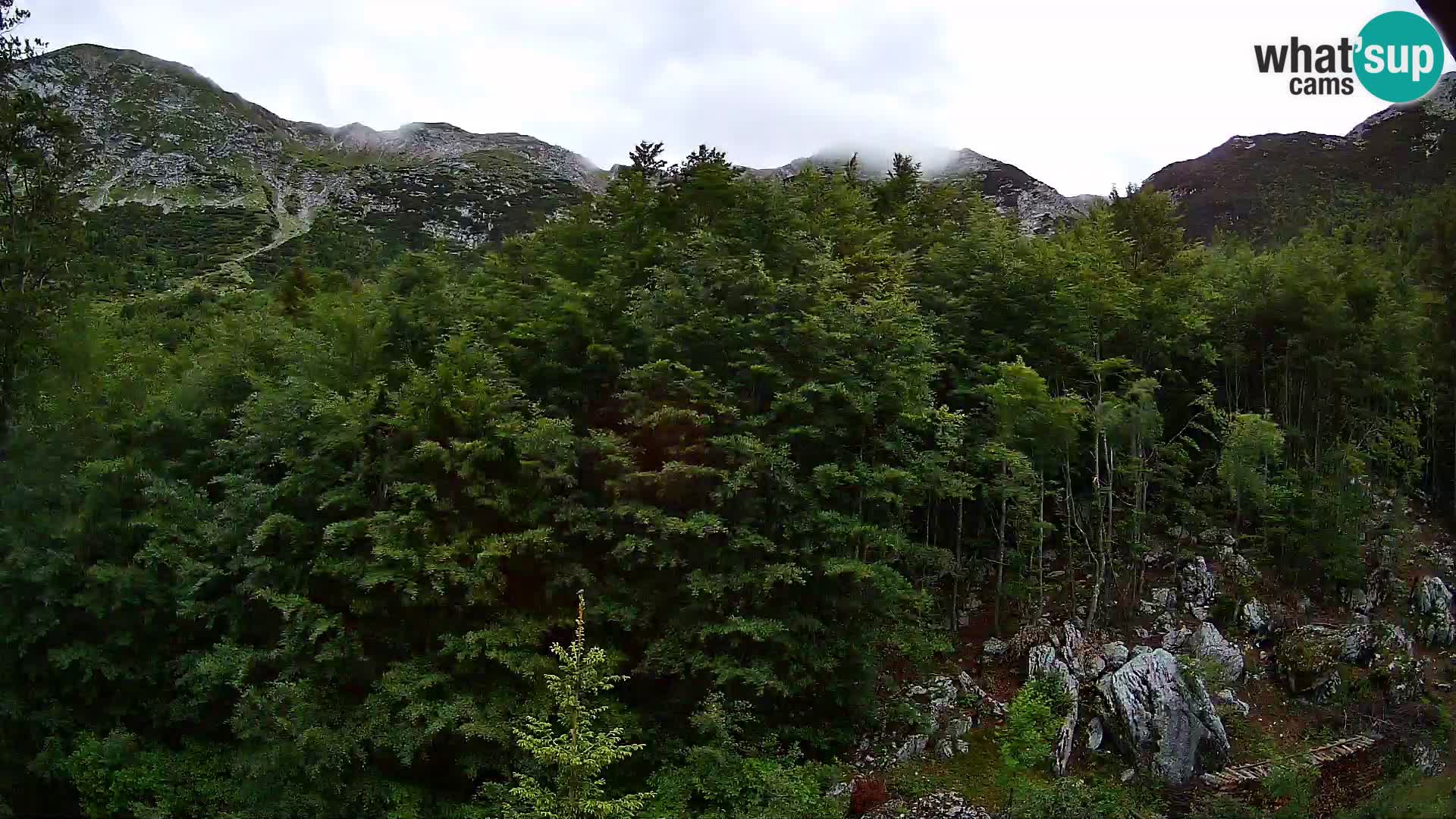 PLANINA RAZOR kamera (1315) | pogled na Vogel in Globoko