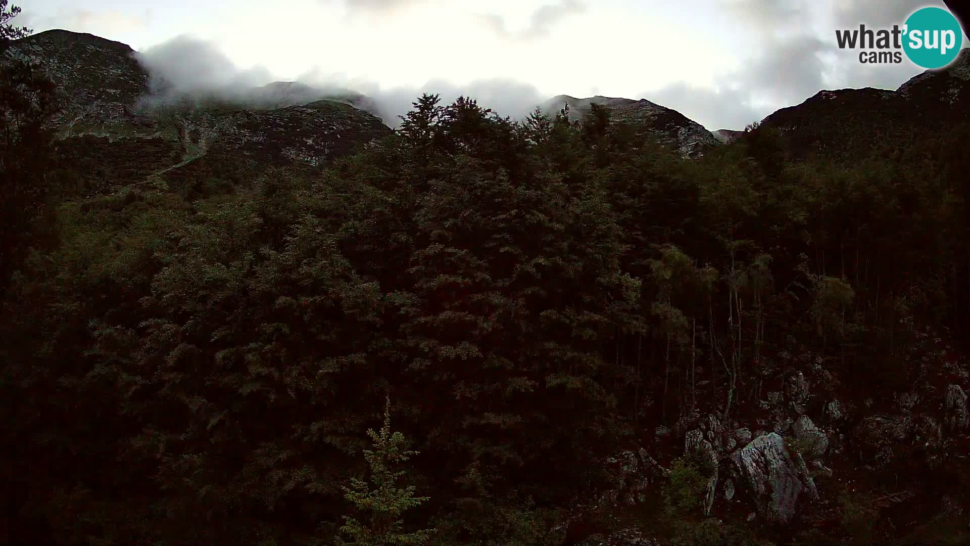 Livecam PLANINA RAZOR (1315) | vue sur Vogel et Globoko