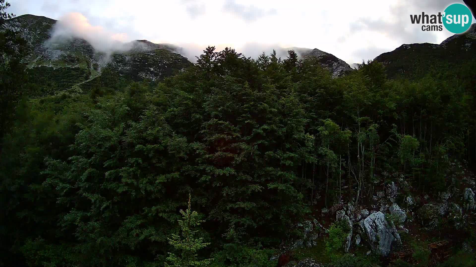 PLANINA RAZOR Live Cam (1315) | vista su Vogel e Globoko