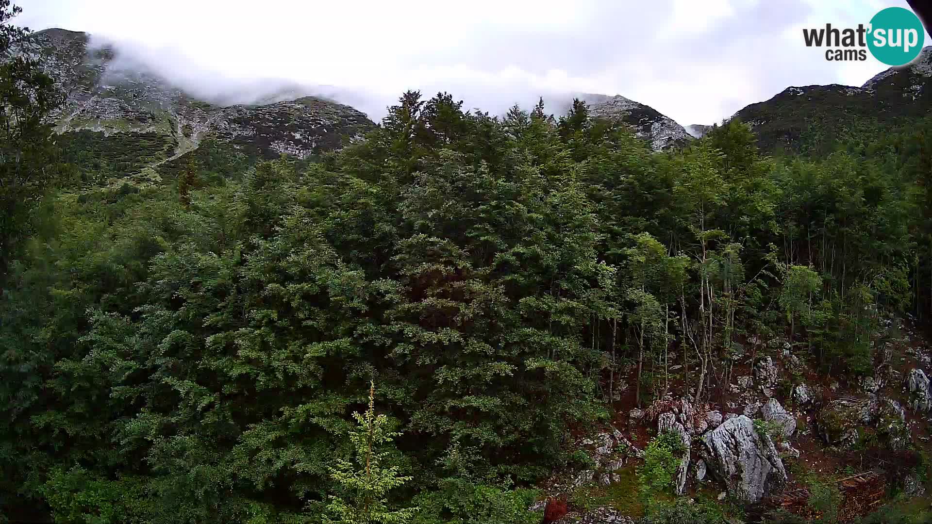 Webcam PLANINA RAZOR (1315) | Blick auf Vogel und Globoko