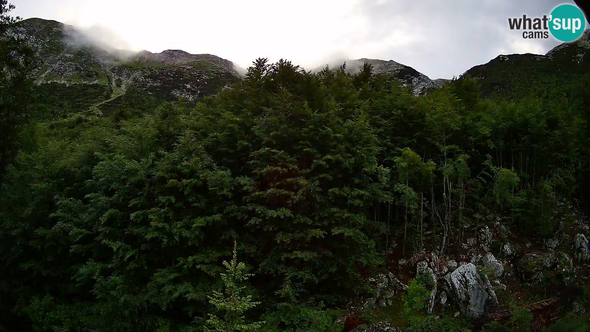 Webcam PLANINA RAZOR (1315) | Blick auf Vogel und Globoko