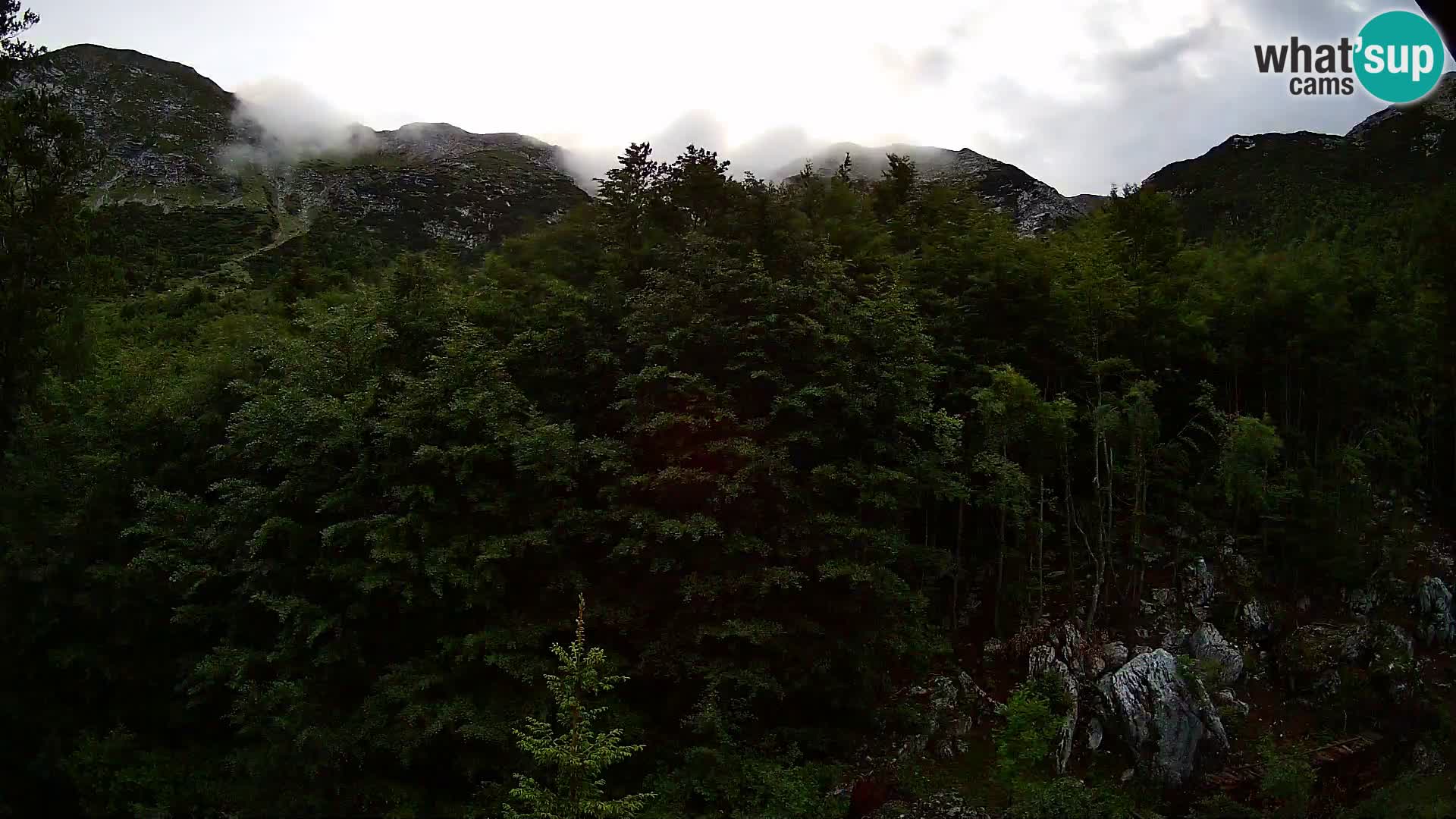 PLANINA RAZOR kamera (1315) | pogled na Vogel in Globoko