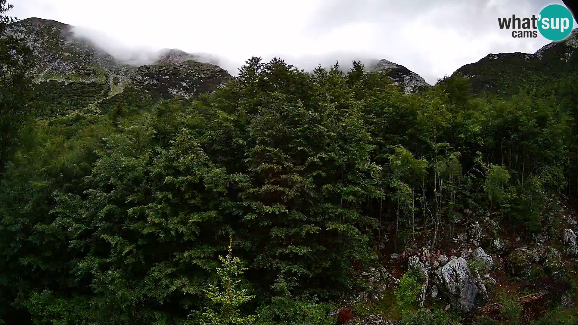 Webcam PLANINA RAZOR (1315) | Blick auf Vogel und Globoko