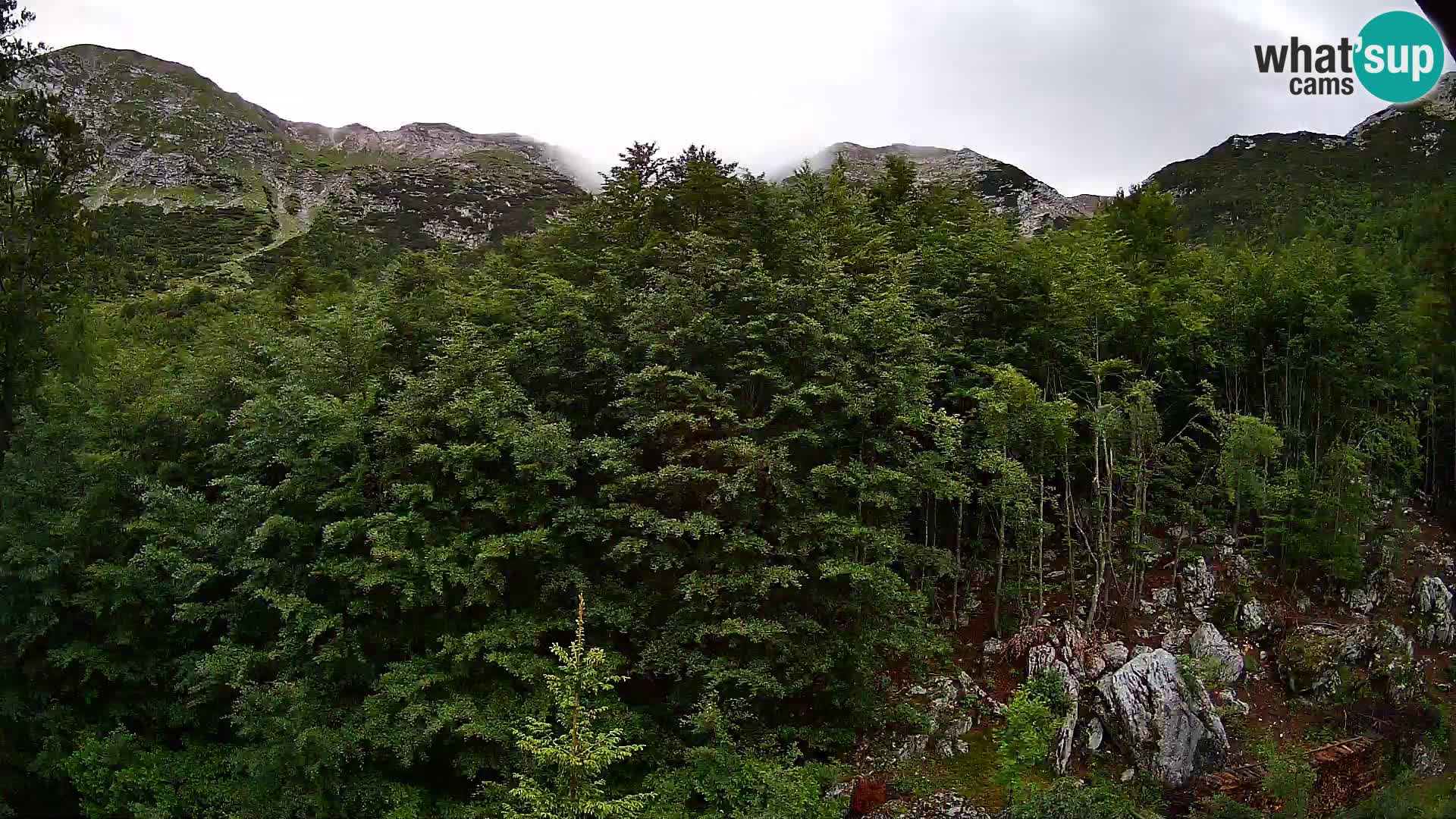 Livecam PLANINA RAZOR (1315) | vue sur Vogel et Globoko