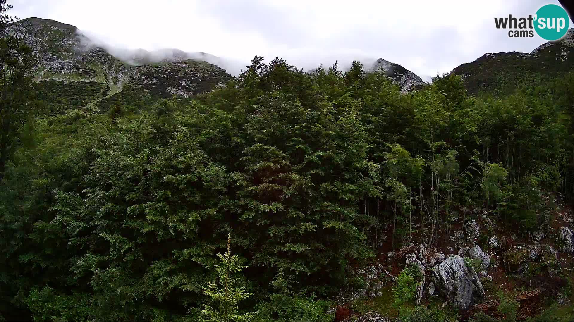 Livecam PLANINA RAZOR (1315) | vue sur Vogel et Globoko