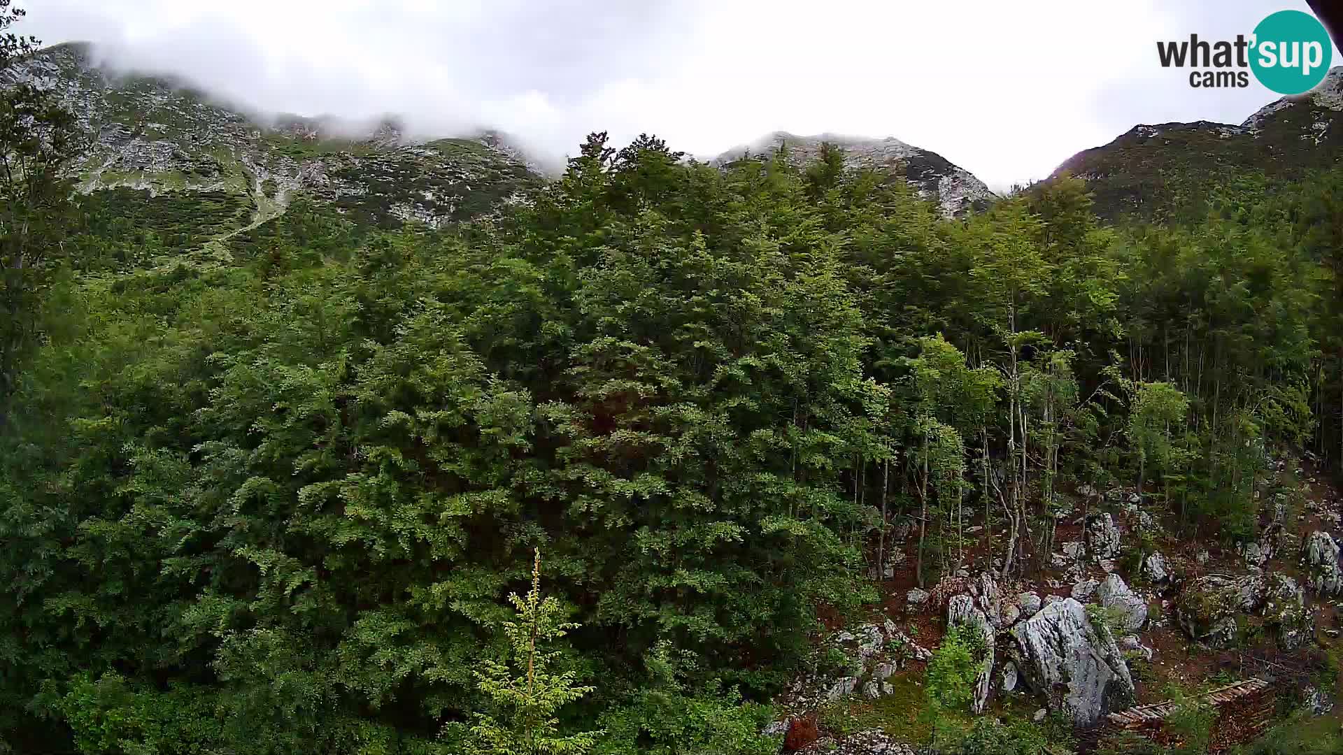 Livecam PLANINA RAZOR (1315) | vue sur Vogel et Globoko