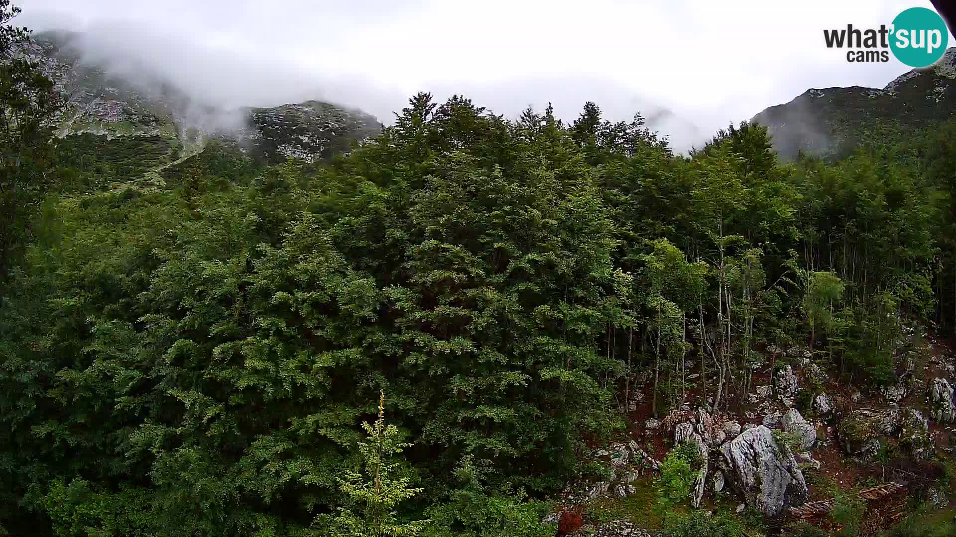 PLANINA RAZOR webcam (1315) | view to Vogel and Globoko