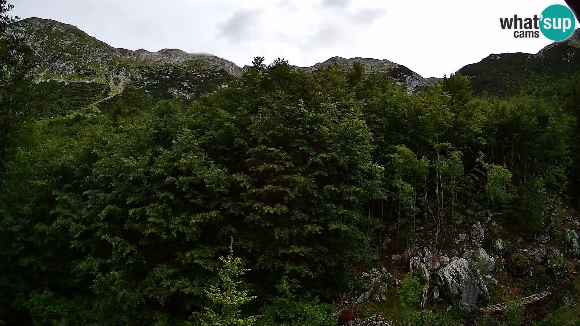PLANINA RAZOR kamera (1315) | pogled na Vogel in Globoko