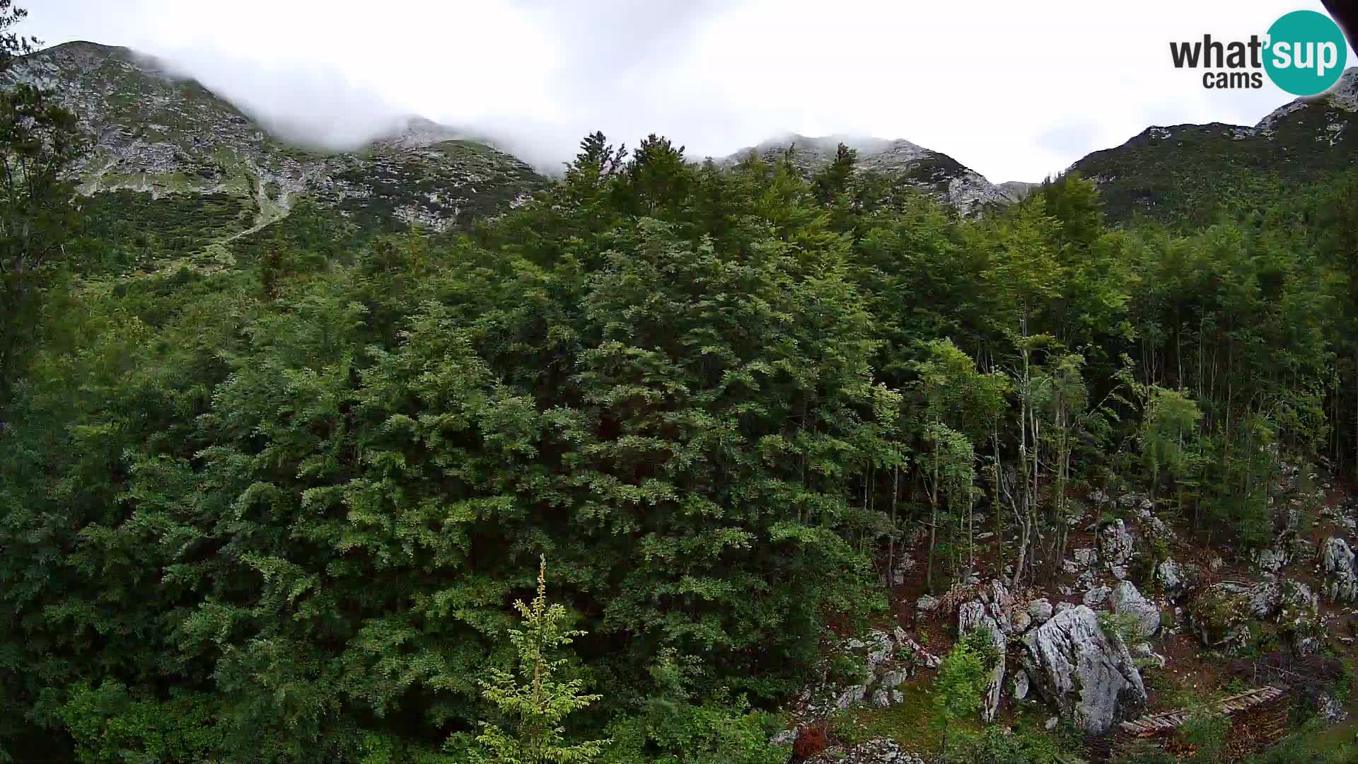 Cámara web PLANINA RAZOR (1315) | vista a Vogel y Globoko