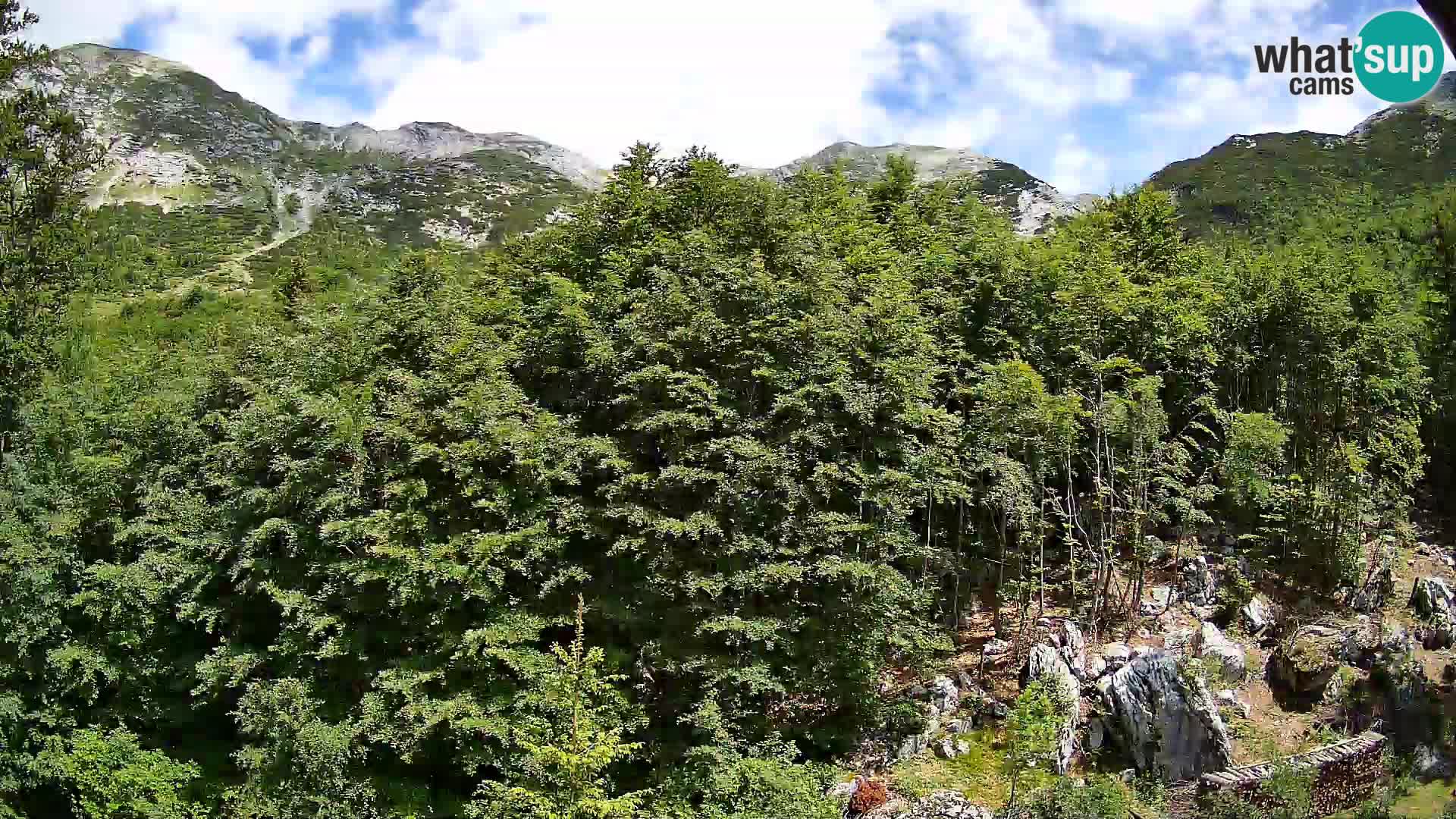 Cámara web PLANINA RAZOR (1315) | vista a Vogel y Globoko