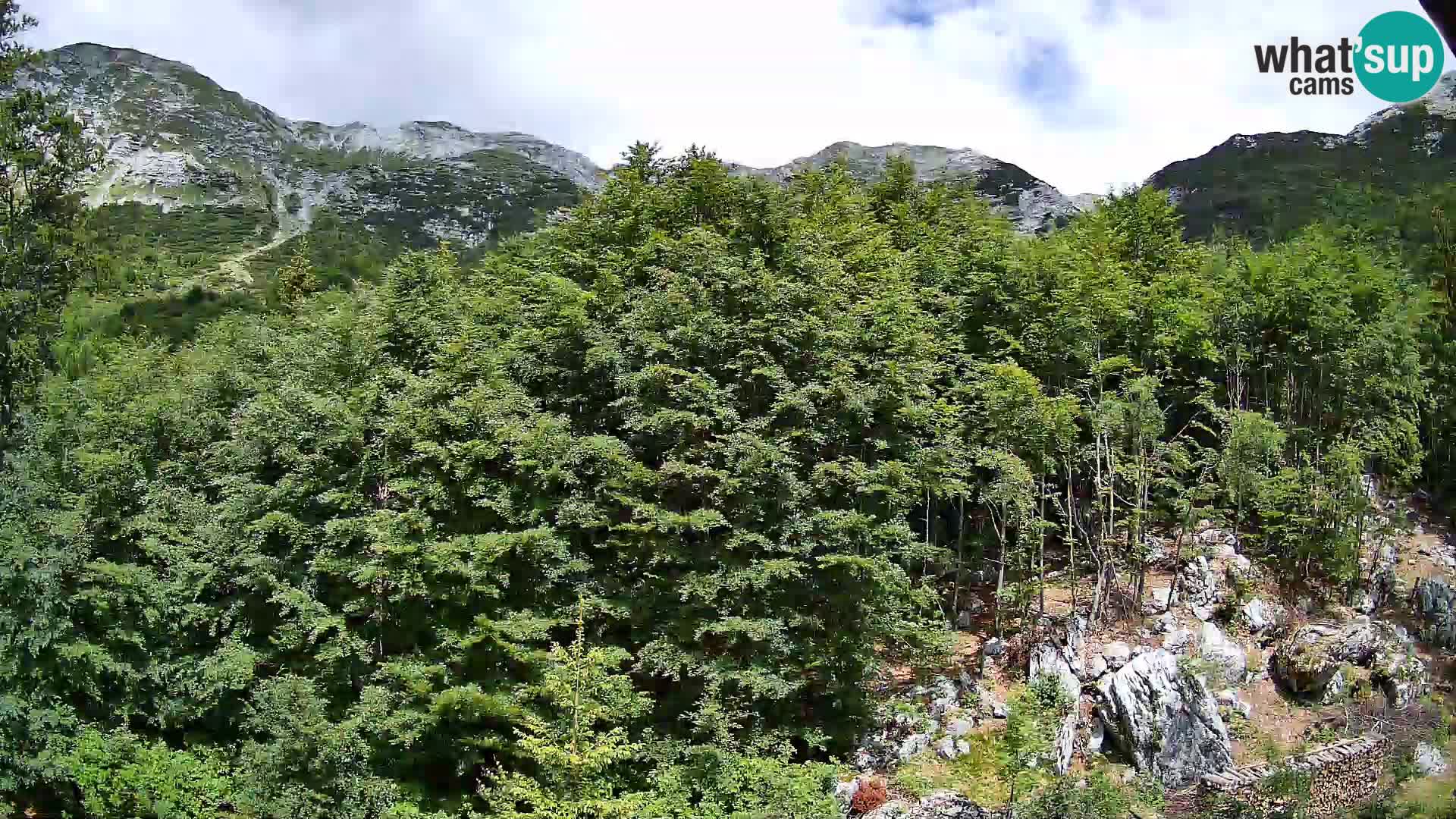 PLANINA RAZOR Live Cam (1315) | vista su Vogel e Globoko