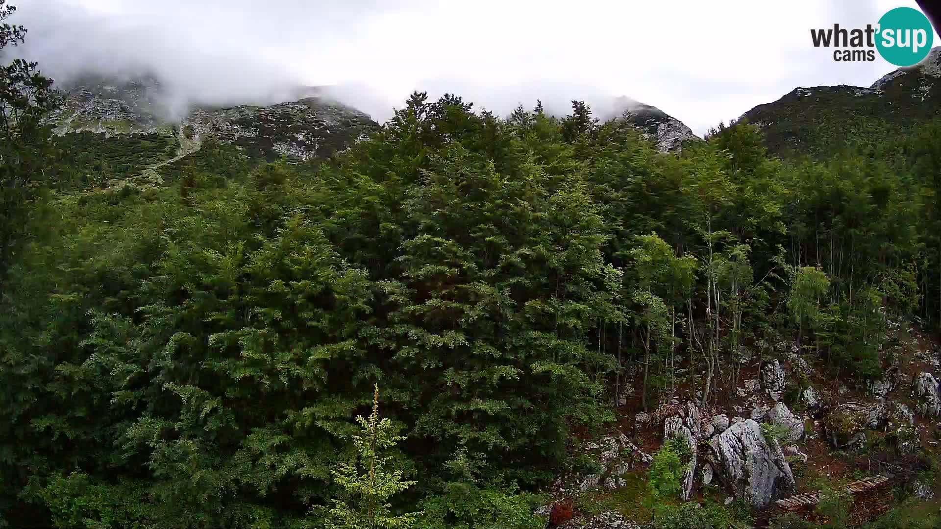 PLANINA RAZOR webcam (1315) | view to Vogel and Globoko