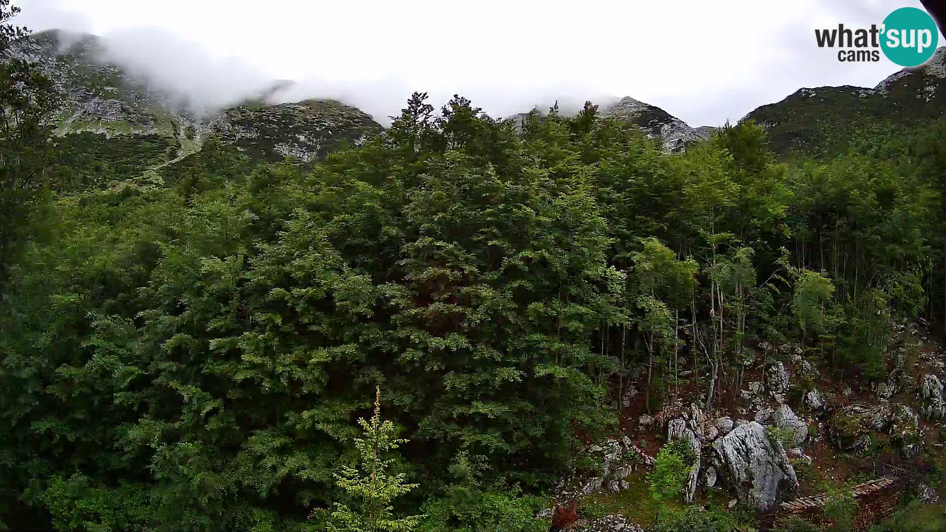 Livecam PLANINA RAZOR (1315) | vue sur Vogel et Globoko