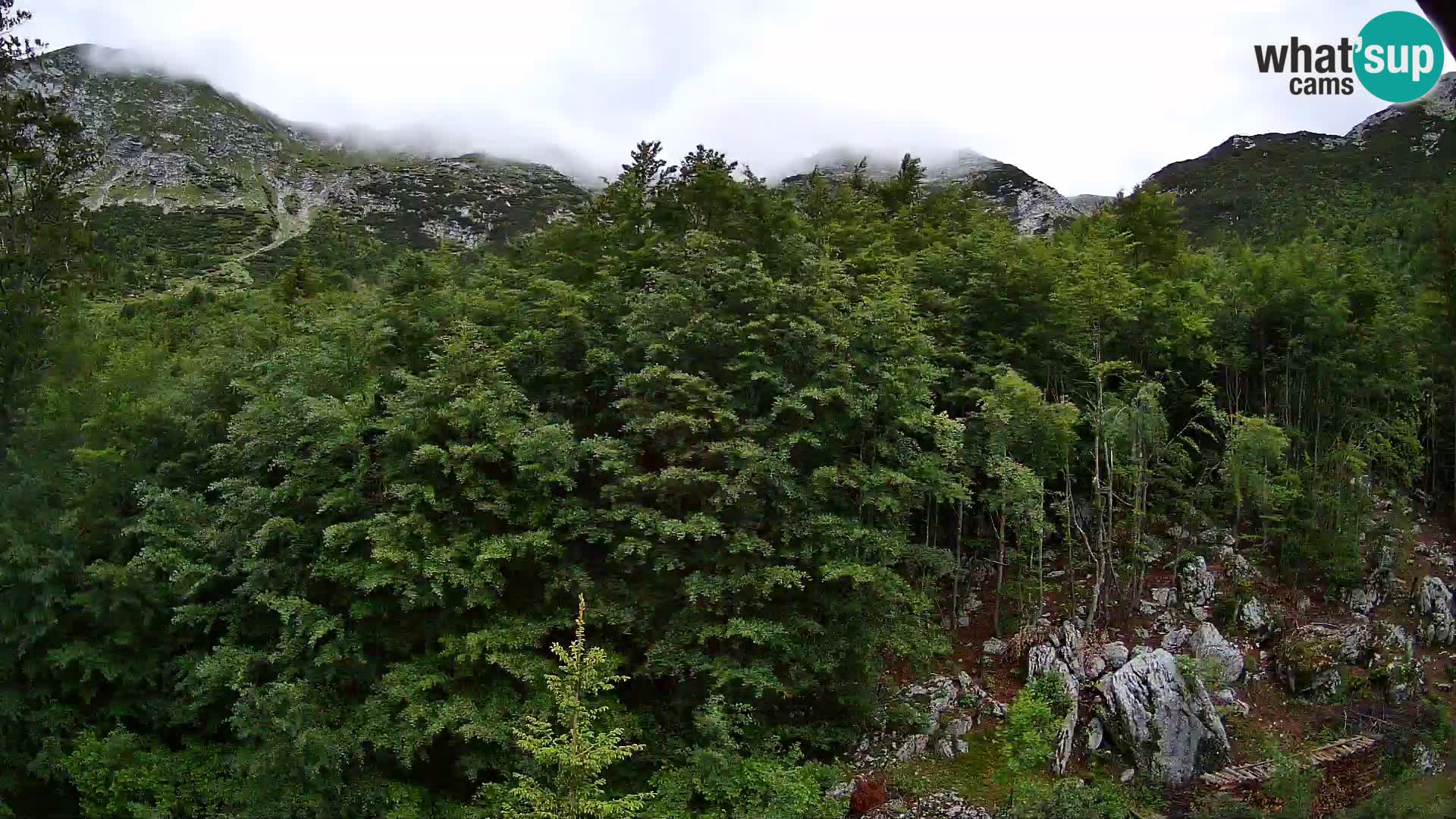 PLANINA RAZOR kamera (1315) | pogled na Vogel in Globoko