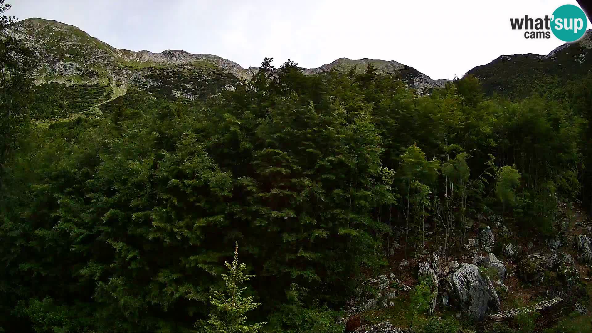 PLANINA RAZOR web kamera (1315) | pogled na Vogel i Globoko