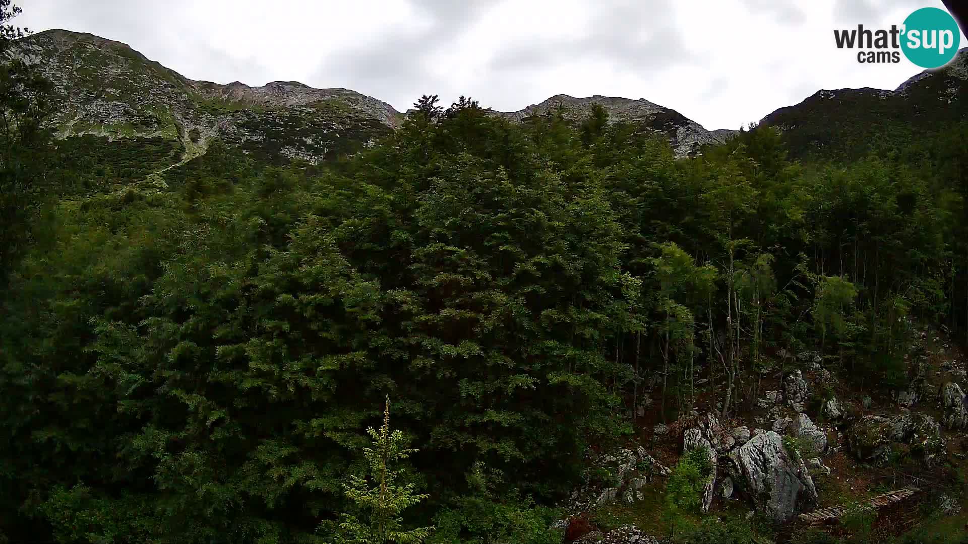 PLANINA RAZOR web kamera (1315) | pogled na Vogel i Globoko