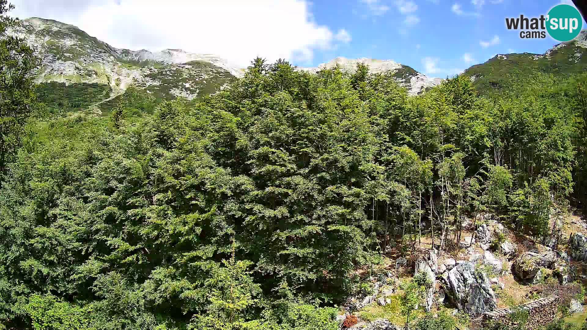 PLANINA RAZOR webcam (1315) | view to Vogel and Globoko
