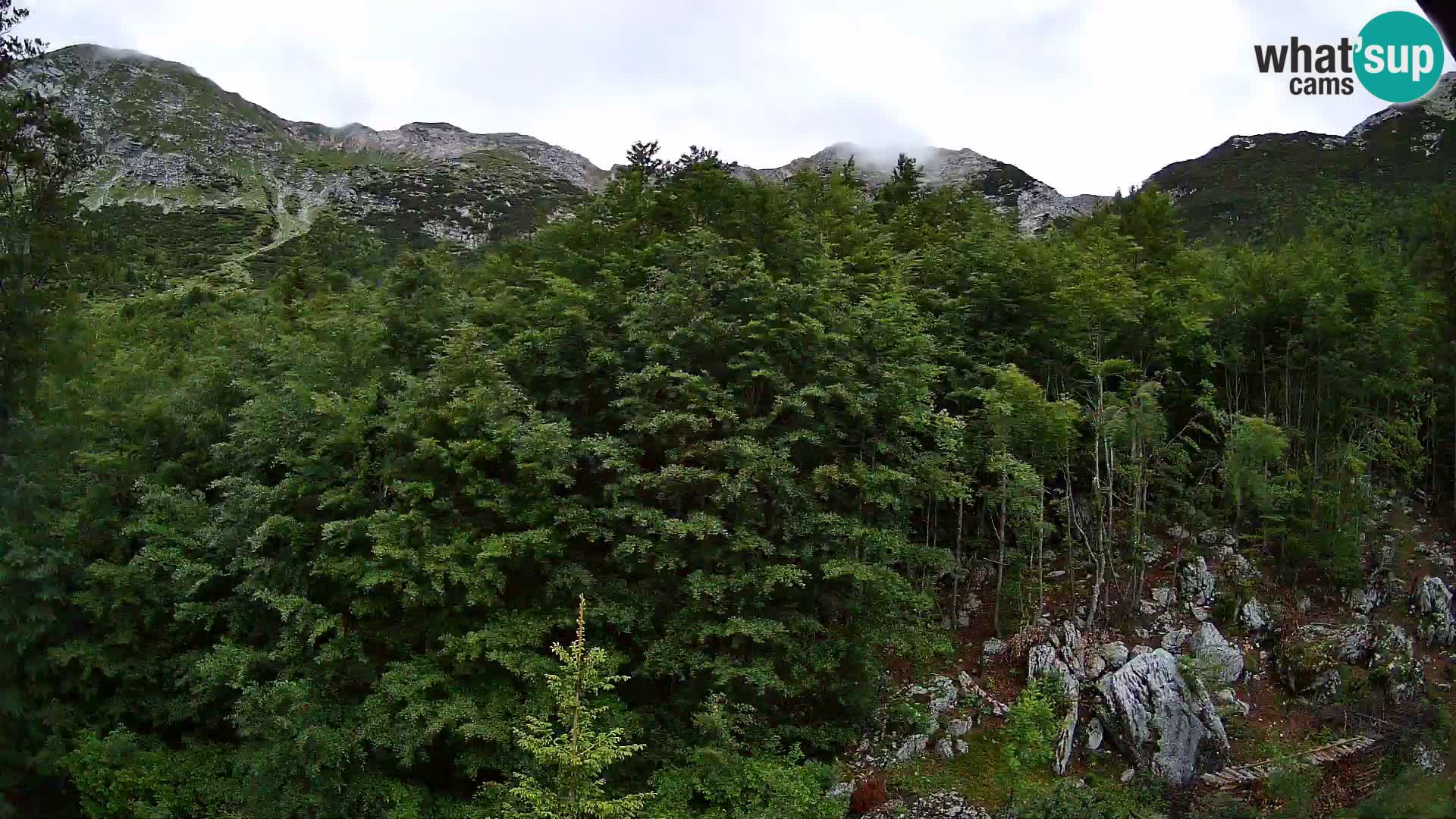 Webcam PLANINA RAZOR (1315) | Blick auf Vogel und Globoko