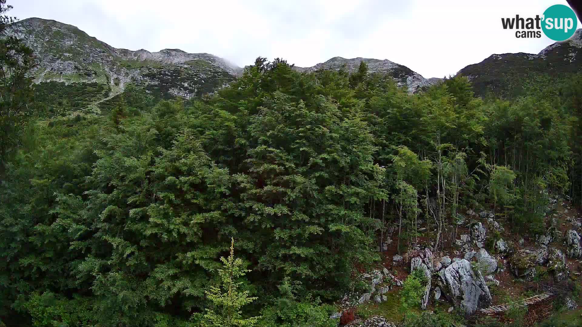 PLANINA RAZOR web kamera (1315) | pogled na Vogel i Globoko