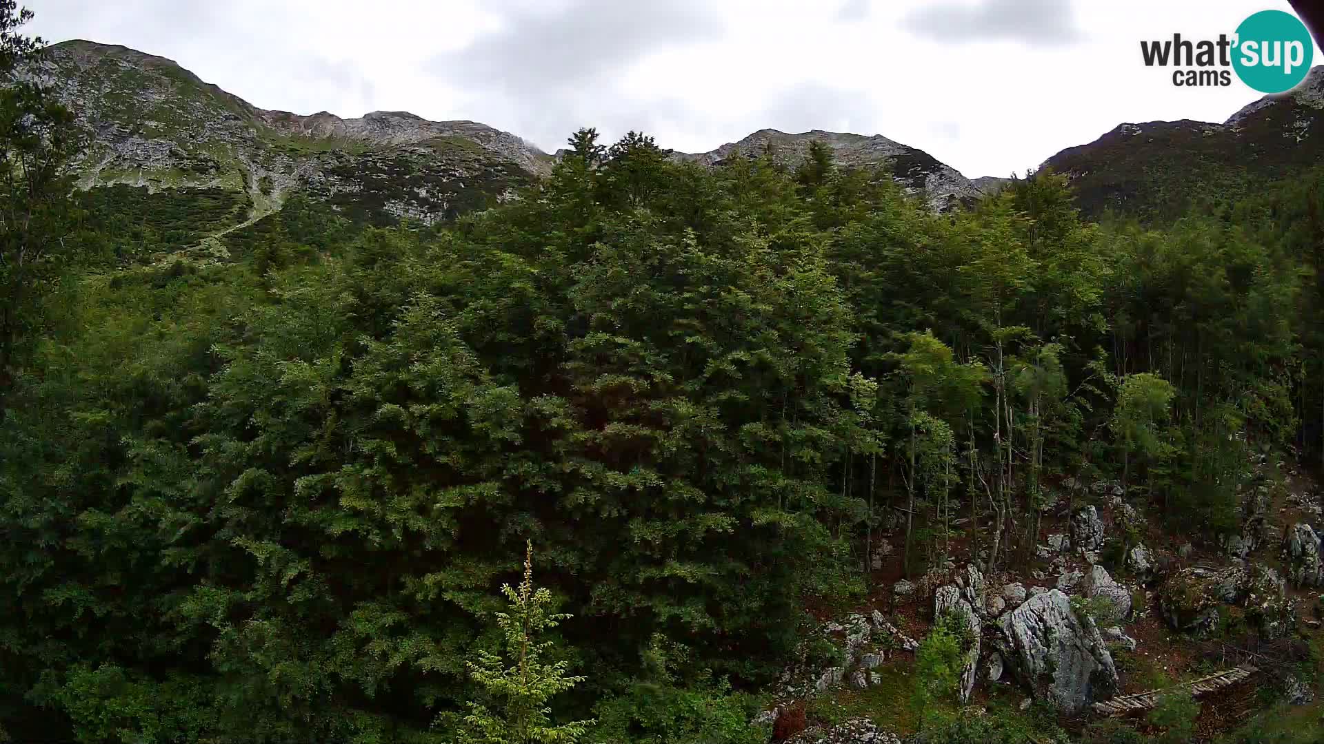PLANINA RAZOR Live Cam (1315) | vista su Vogel e Globoko
