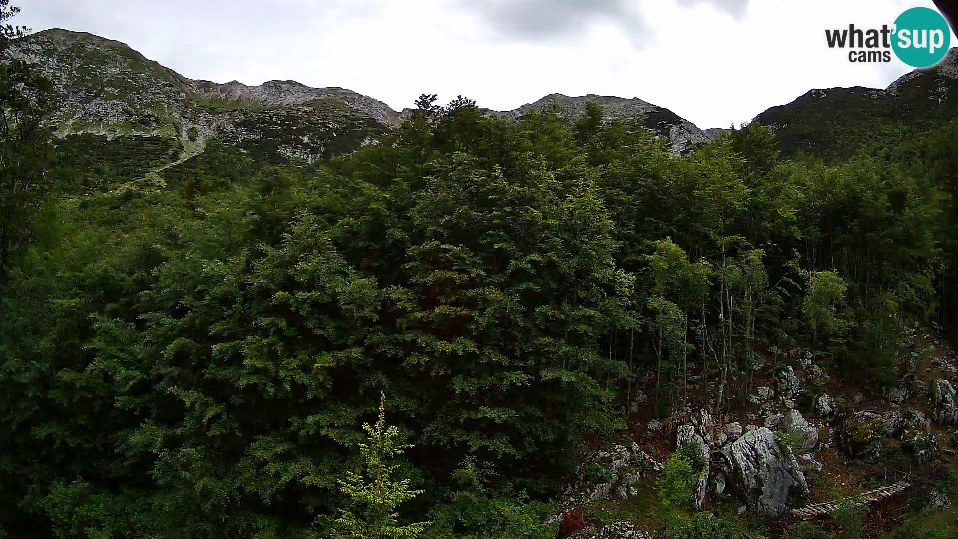PLANINA RAZOR Live Cam (1315) | vista su Vogel e Globoko
