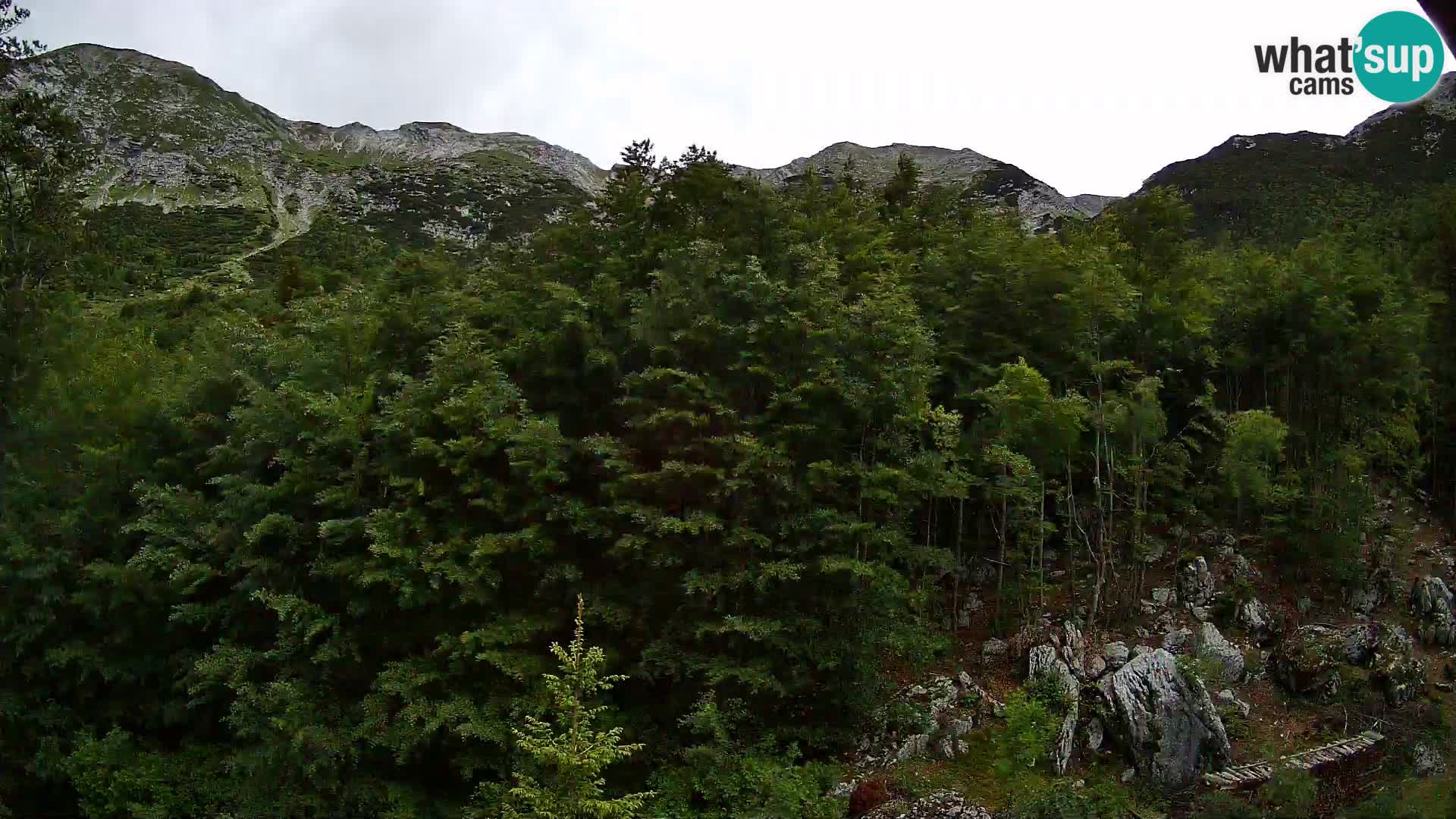 Livecam PLANINA RAZOR (1315) | vue sur Vogel et Globoko